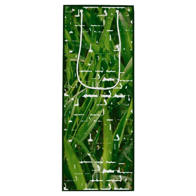 Sacola Para Vinho Serviço Personalizado de Cuidados Lançados com Fot (Frente)