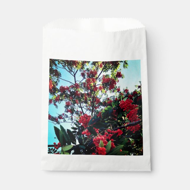 Sacolinha Airelas vermelhas (Frente)