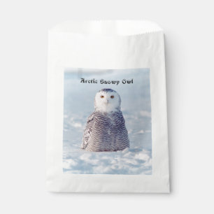 Sacolinha Alaska Wildlife Artic Snowy Owl