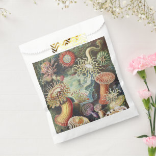 Sacolinha Anêmonas-do-mar de Haeckel Colagem de arte náutica