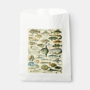 Sacolinha Arte De Pesca Científica Dos Peixes Vintage