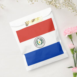 Sacolinha bandeira do Paraguai