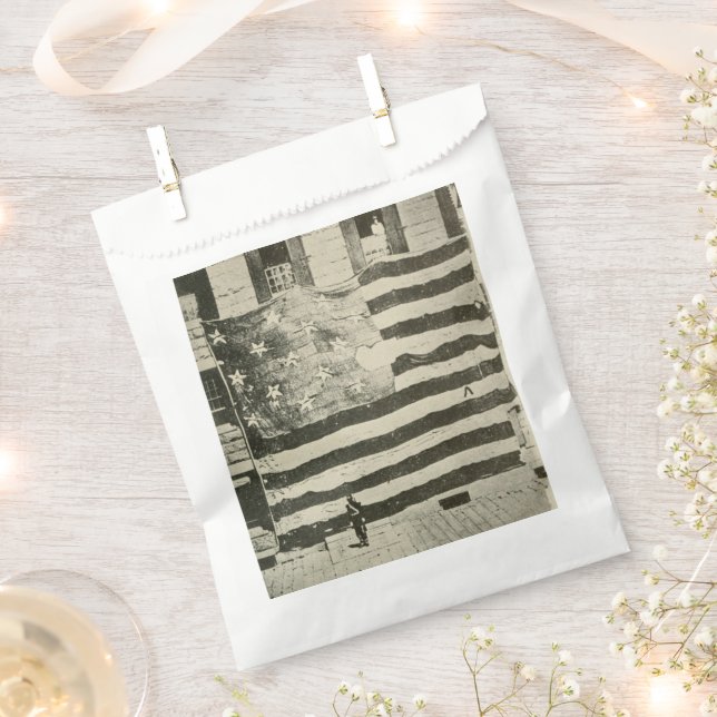 Sacolinha Bandeira Estrelada: Bandeira Americana em Exposiçã (Cortado)