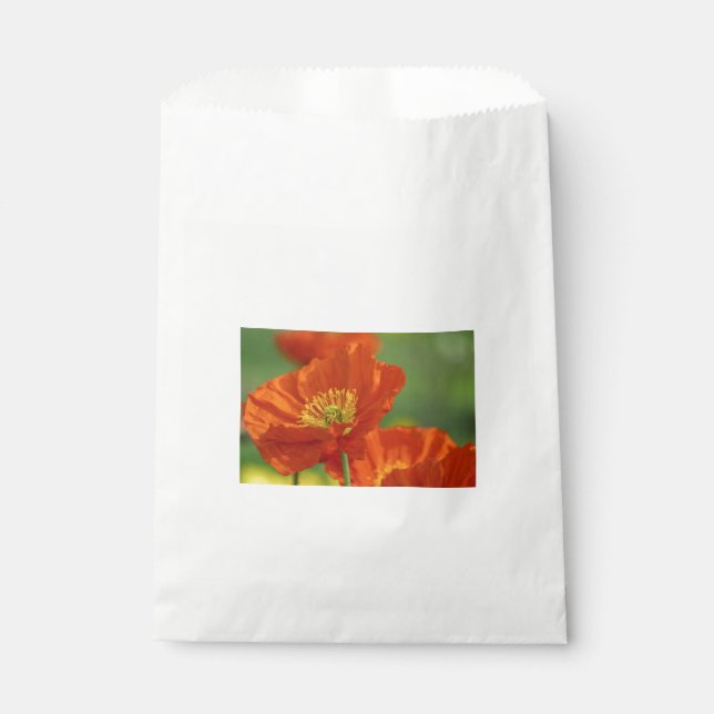 Sacolinha Belo papa vermelho (Frente)