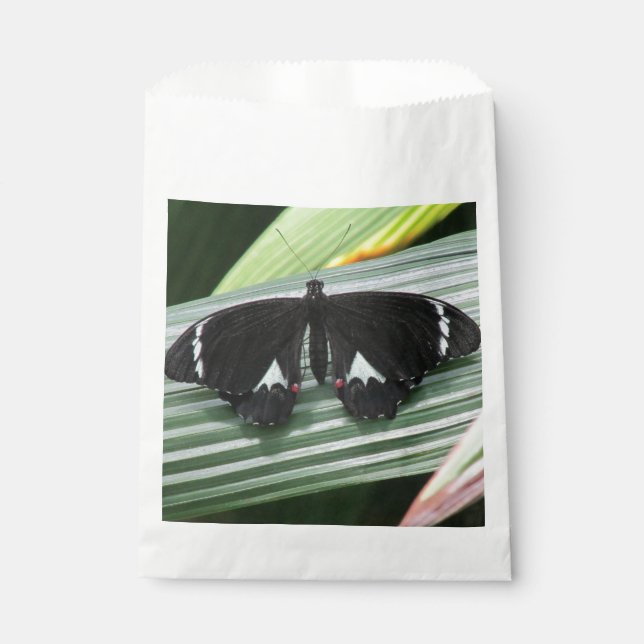 Sacolinha Borboleta tropical branca e preta (Frente)