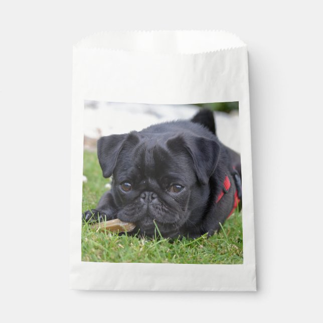Sacolinha cãozinho preto (Frente)