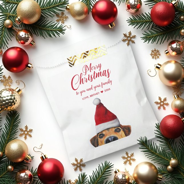 Sacolinha Curioso Cachorro Engraçado com Papai Noel (Criador carregado)