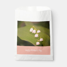 Sacolinha Dia de as mães em questão