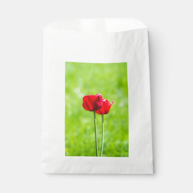 Sacolinha Duas flores de tulipa vermelhas (Frente)