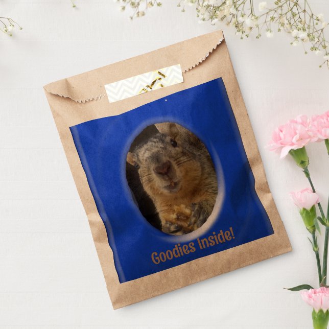 Sacolinha Favor Bag - Tratamentos de Esquilo (Selado)
