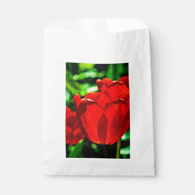 Sacolinha Flores de tulipa vermelhas (Frente)