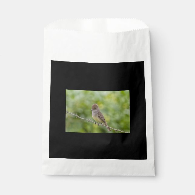 Sacolinha Flycatcher (Frente)