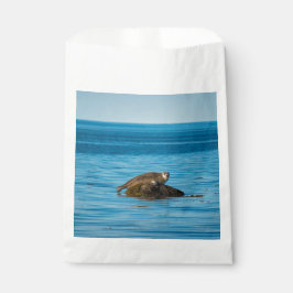 Sacolinha Foca-do-Atlântico