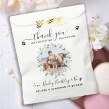 Foto Personalizada De Cachorro Eucalyptus Obrigado