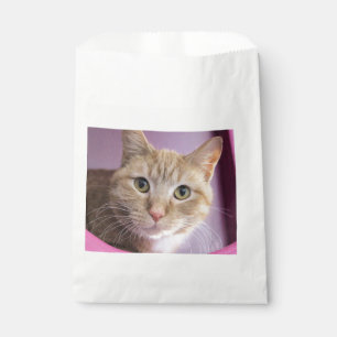 Sacolinha Gato
