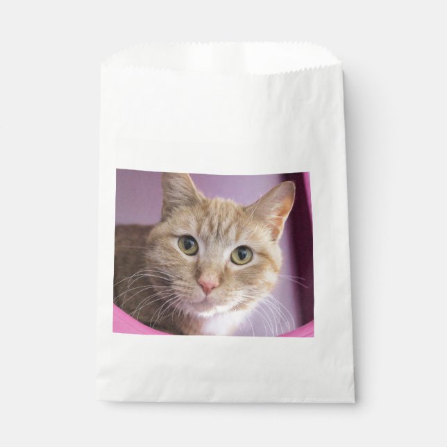 Sacolinha Gato (Frente)