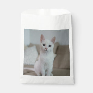 Sacolinha Gato branco Zazzle_Growth.