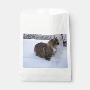 Sacolinha gato da floresta norueguesa na neve