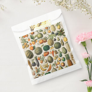 Sacolinha Ilustração Científica Botânica Vegetal fruta