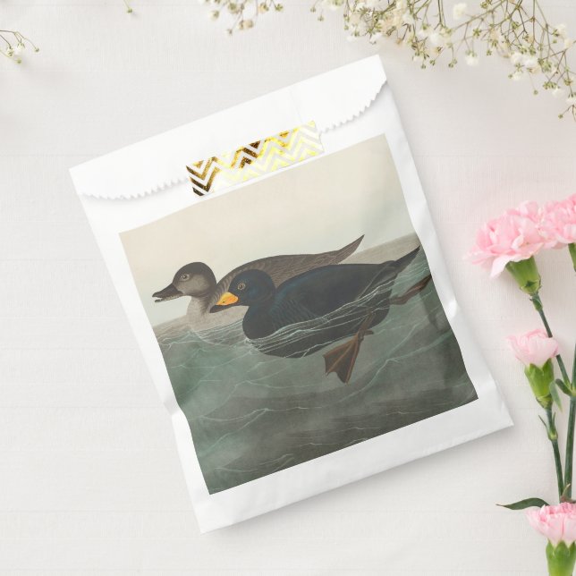 Sacolinha Impressão do Pato-Marinho-Preto de Audubon: Pato C (Selado)