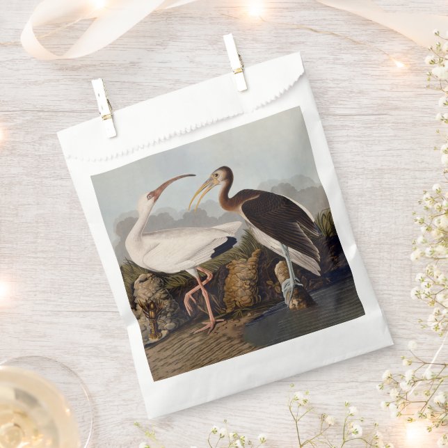 Sacolinha John James Audubon White Ibis Bird Print Classic (Cortado)