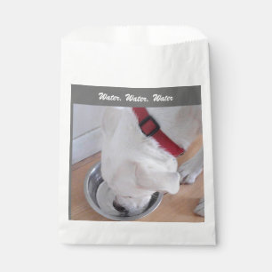 Sacolinha Labrador Branco Cachorro Bebendo Água
