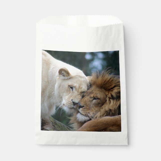 Sacolinha Lion e Lioness Nuzzling (Frente)