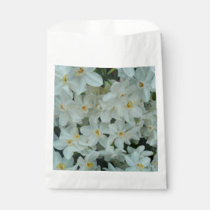 Sacolinha Narciso Branco Delicado de Paperwhite Flores