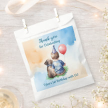 O primeiro aniversario do bebê | Obrigado Aniversá