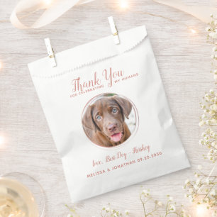 Sacolinha Pet Wedding Modern Rosa Dourado Dog Foto Muito Obr