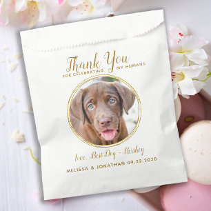 Sacolinha Pet Weding Obrigado Foto Personalizada Elegante Do