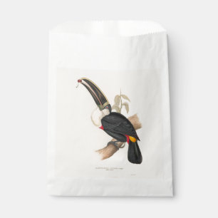 Sacolinha Pintura Antiquada de Pássaros Toucanos