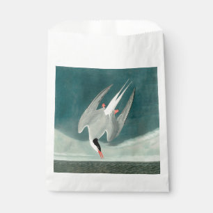 Sacolinha Pintura de aves selvagens do Ártico Tern Audubon