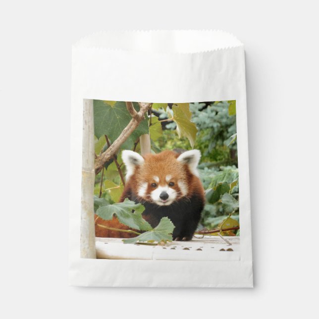 Sacolinha Red Panda (Frente)