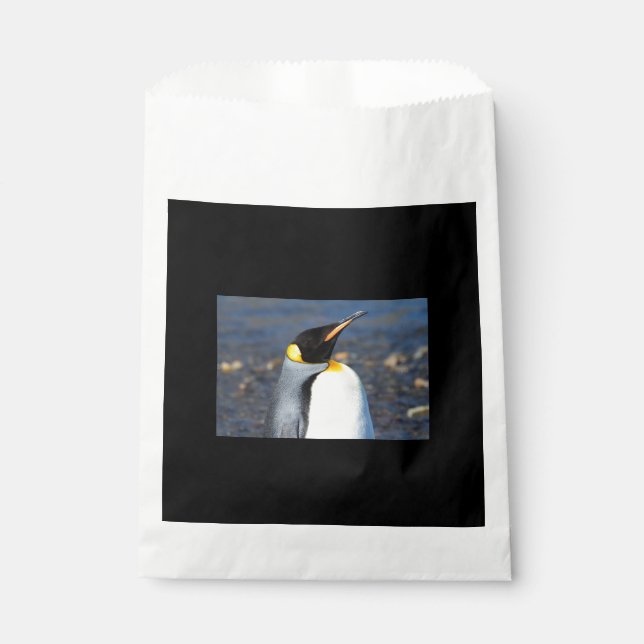 Sacolinha Retrato de pinguim (Frente)