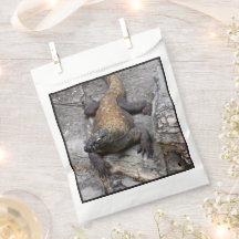 Saco Cena Rochosa Dragão de Komodo