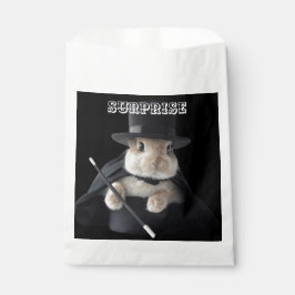 SACOLINHA SURPRESA