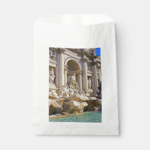 Sacolinha Trevi fountain