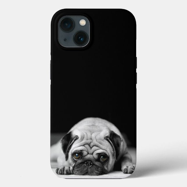 Sad Pug (Verso)