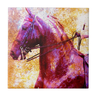 Saddleseat Grunge