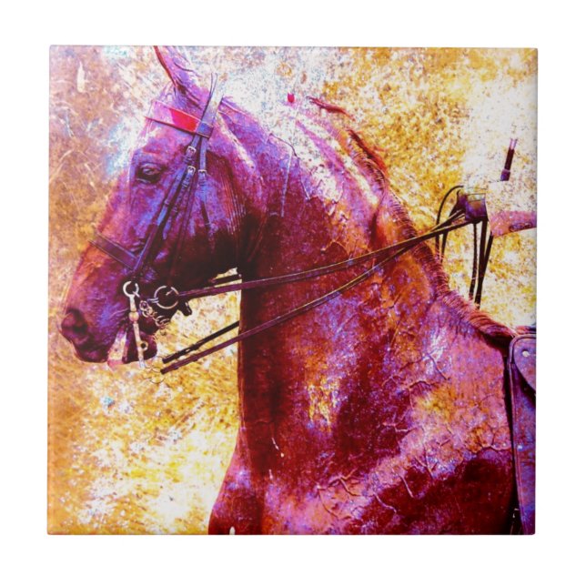 Saddleseat Grunge (Frente)