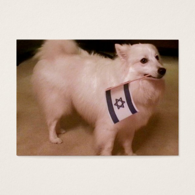 Sadie o Cão Judeu (Frente)