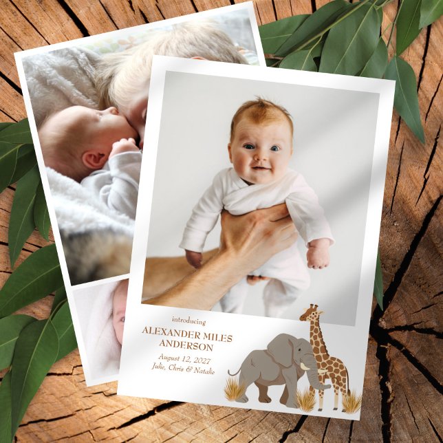 Safari Animais Fotos Novo Anúncio de Bebê (Criador carregado)