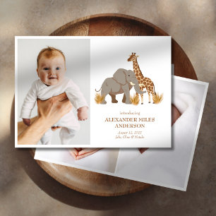 Safari Animais Fotos Novo Anúncio de Bebê