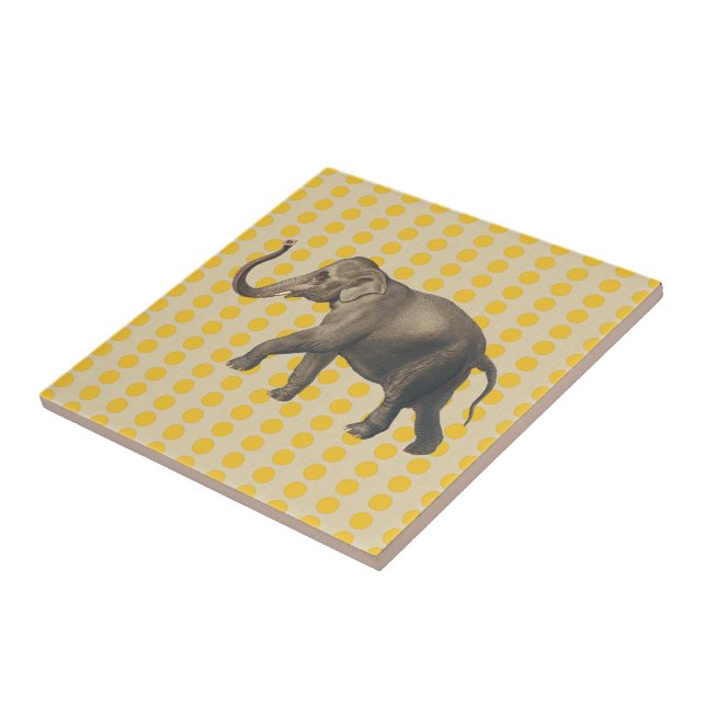 Saffron Spice Moods Dots com Elefante (Lateral)