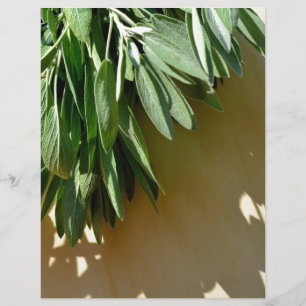Sage fresco