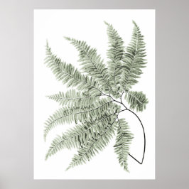 Sage Green Decor Fern Leaf Impressão nº 5