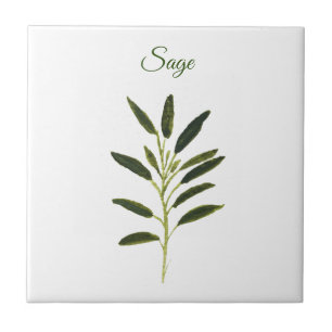 Sage Herb Greenere Kitchen Culinária Russa Verde 