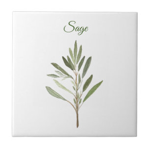 Sage Herb Greenere Kitchen Culinária Russa Verde C