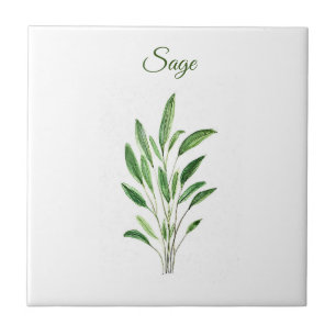 Sage Herb Greeneren Kitchen Rústica Verde Culiná
